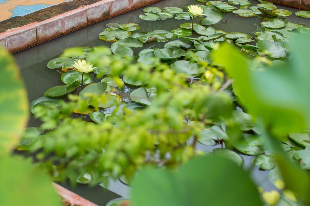 Baan Are Gong Riverside Homestay Phra Nakhon Si Ayutthaya Dış mekan fotoğraf